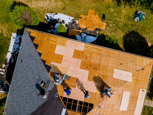 Best Flat Roof Repair Services  in Langhorne, PA